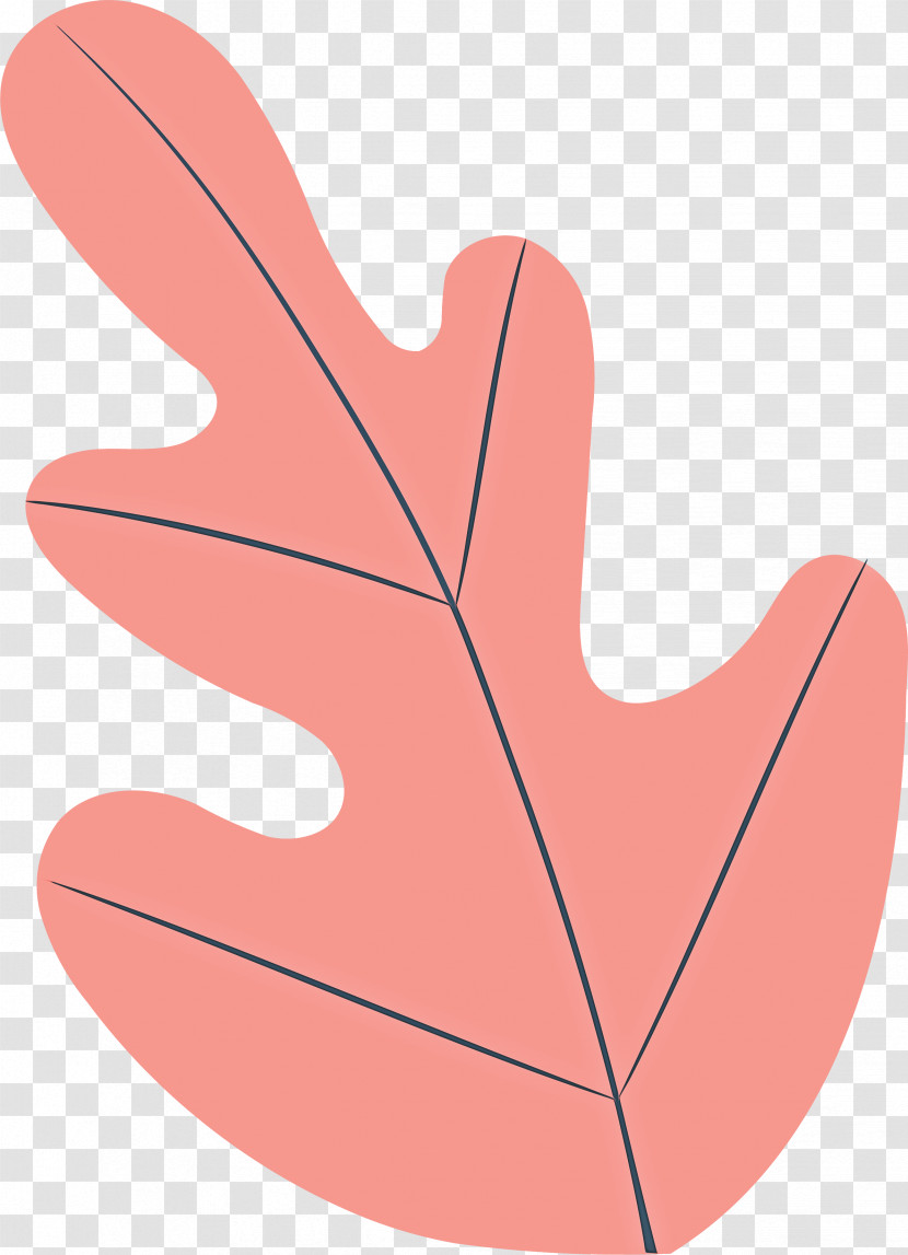 Olive Leaf Transparent PNG