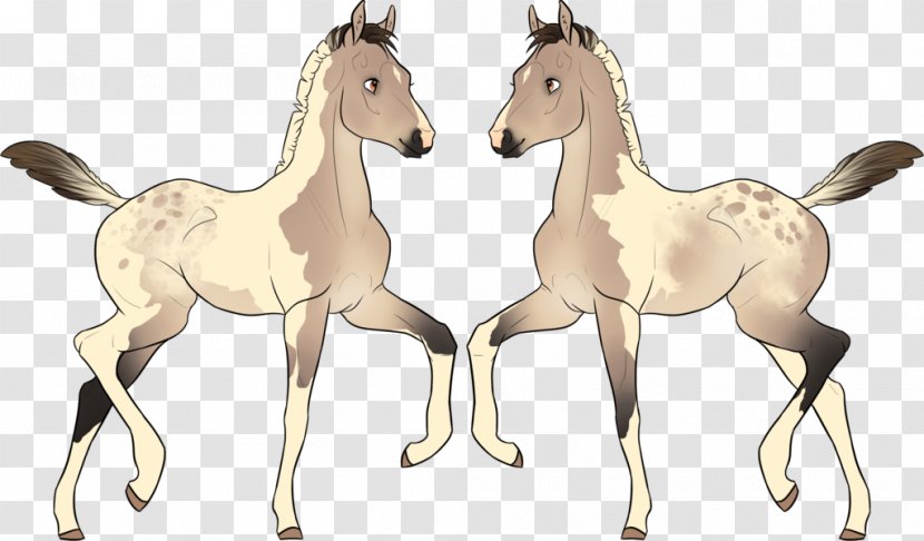 Foal Colt Stallion Mustang Mane - Character Transparent PNG
