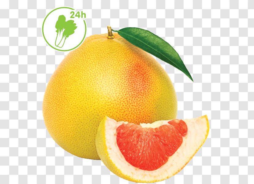 Blood Orange Pomelo Citrus Junos Grapefruit Lemon - Tangelo Transparent PNG