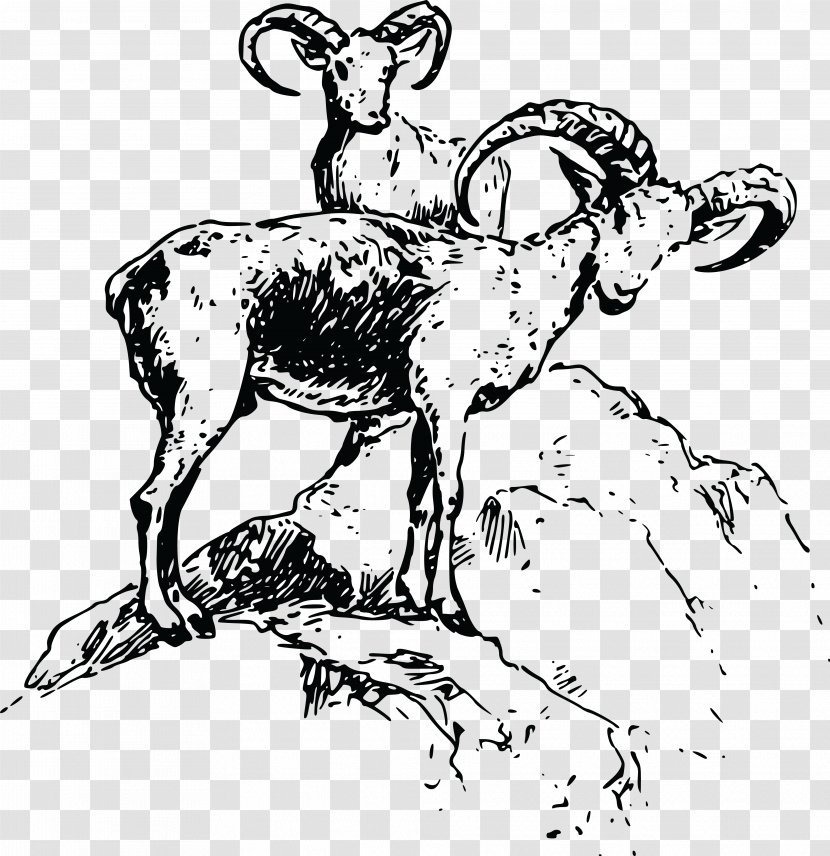 Bighorn Sheep Cattle Clip Art - Cow Goat Family Transparent PNG