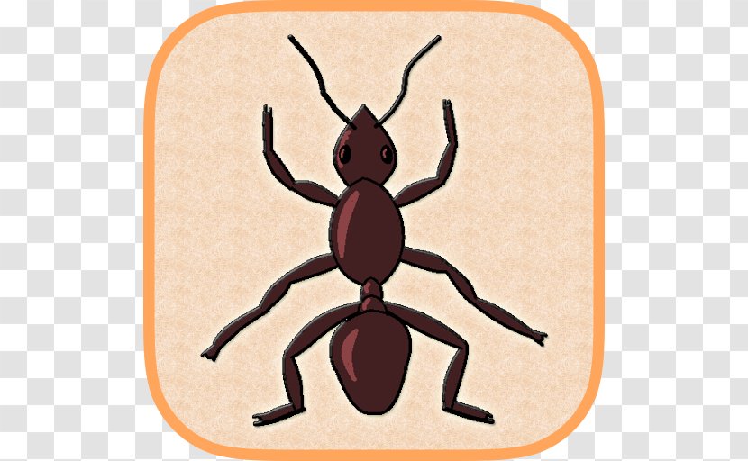 Insect Ant Smasher By Best Cool & Fun Games Pollinator Pest Clip Art Transparent PNG