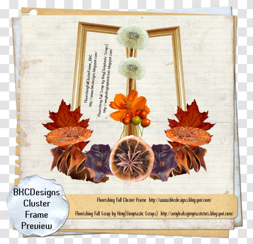 Floral Design Picture Frames - Flora Transparent PNG