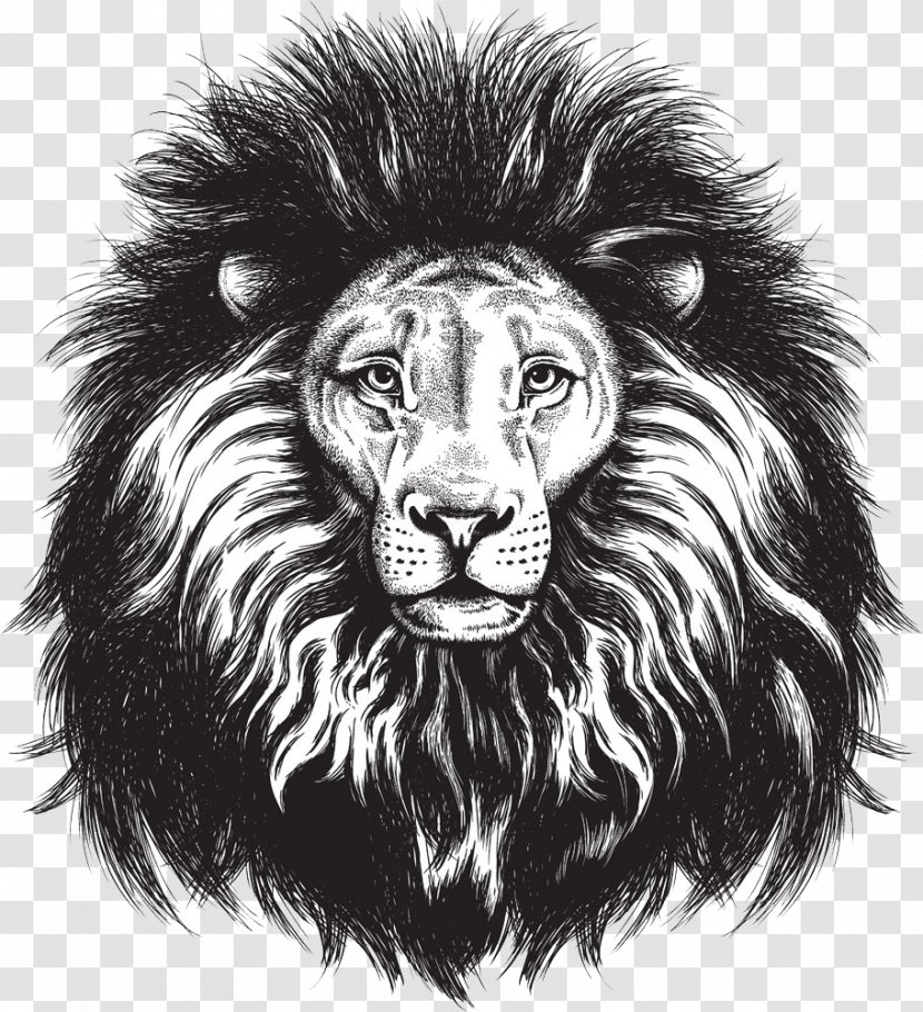 Lionhead Rabbit Lions Head Leopard - Black And White - Painted Lion Transparent PNG