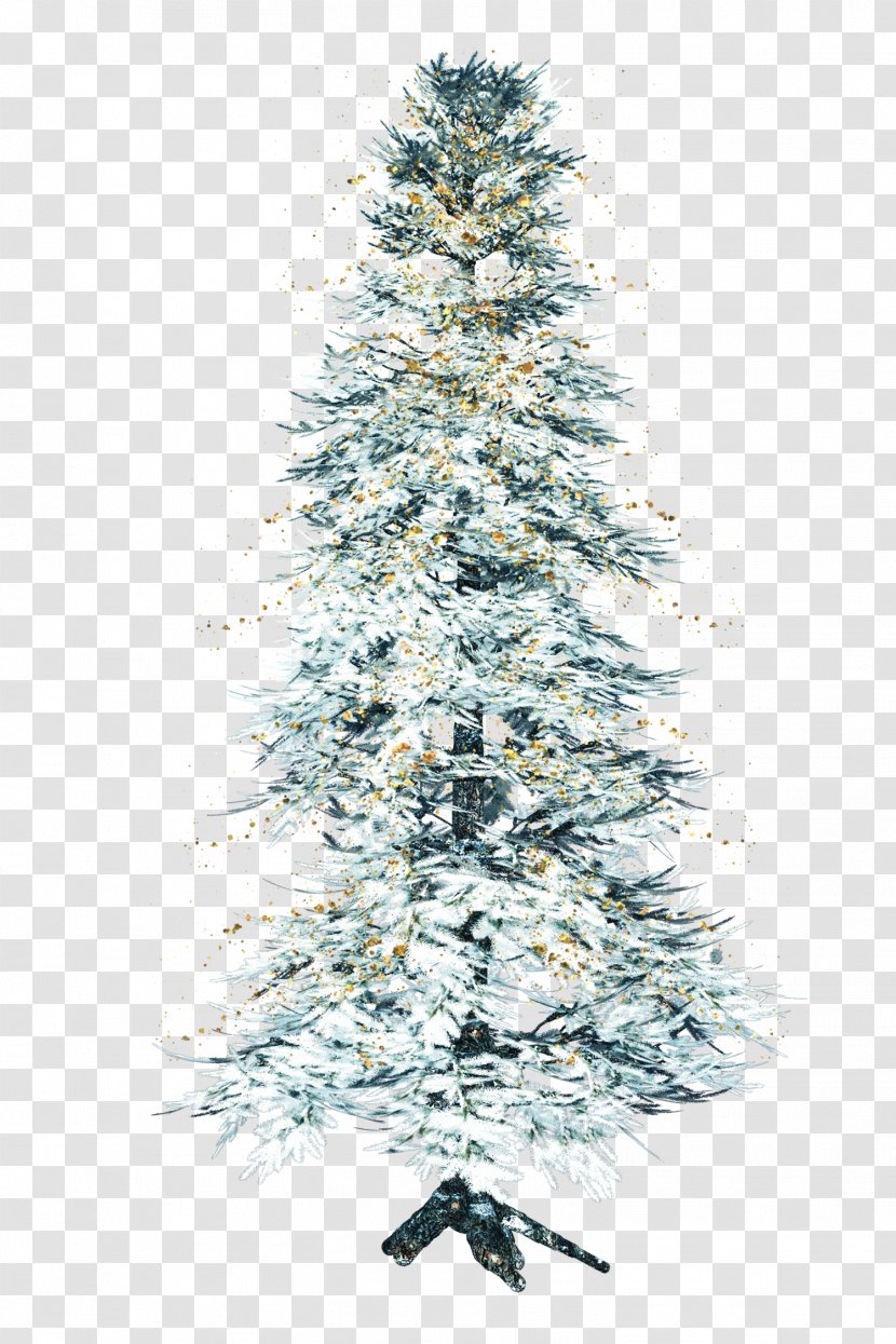 Tree Pine Conifers - Snow Transparent PNG