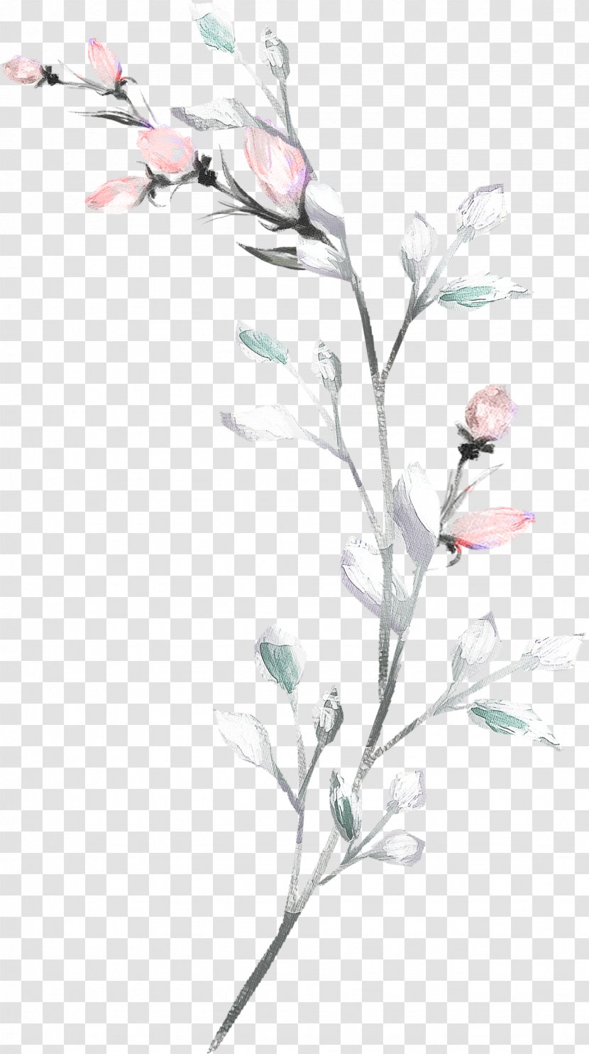 Watercolor Flower Background - Drawing - Wildflower Blossom Transparent PNG
