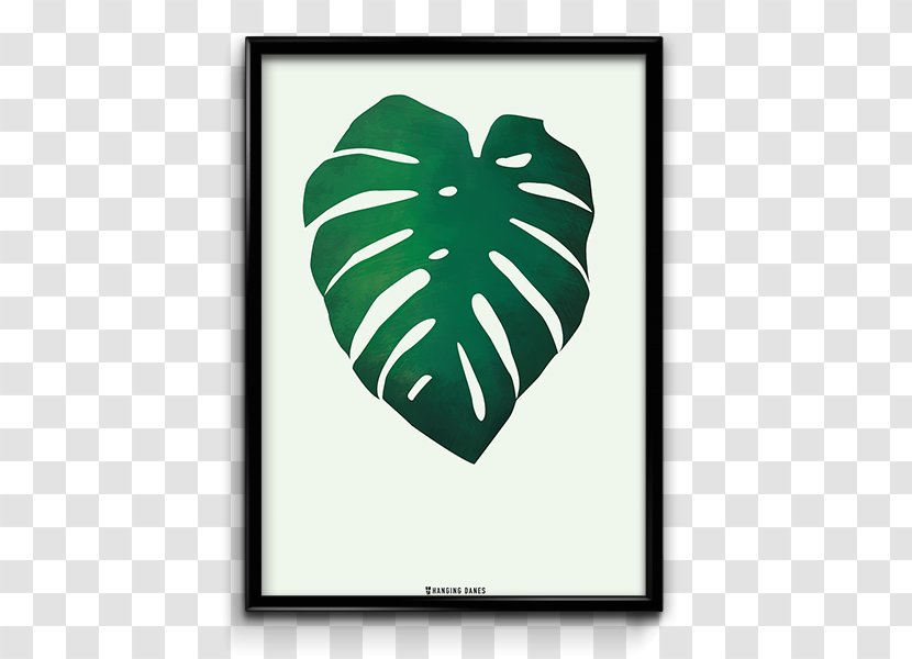 Swiss Cheese Plant Denmark Poster - Decorative Arts - Monstera Transparent PNG