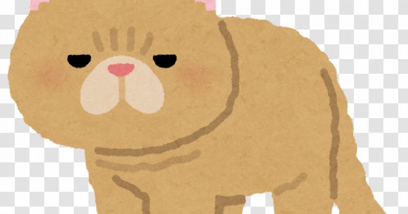 Whiskers Exotic Shorthair Illustration ペンギン・ハイウェイ Dog - Small To Medium Sized Cats Transparent PNG