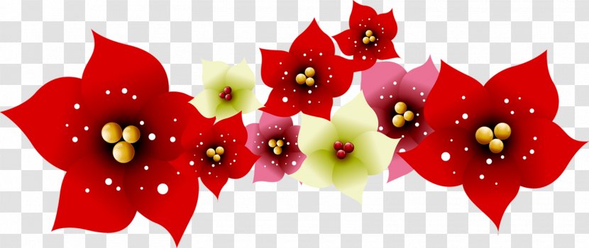 Love Faith - Flowering Plant - U Transparent PNG