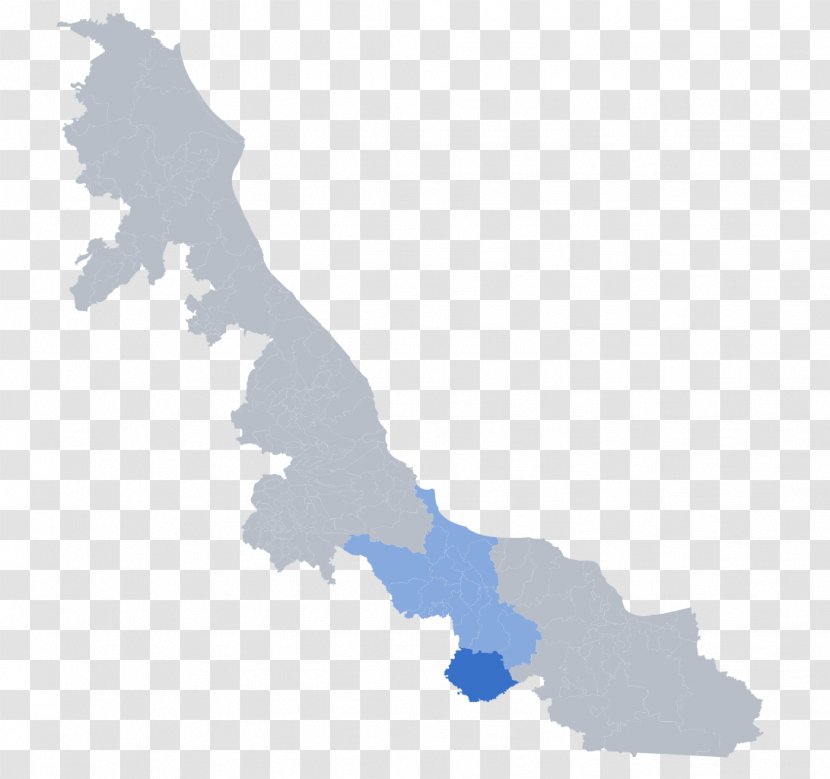 Veracruz Vector Map Diagram - Mexico - Vemto Transparent PNG