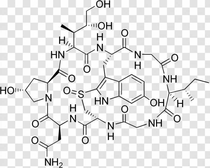 Death Cap Alpha-Amanitin Beta-Amanitin Amatoxin Gamma-Amanitin - Parallel - Oil Molecules Transparent PNG