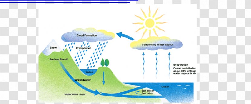 Water Cycle Fifth Grade Condensation Process - Science Transparent PNG