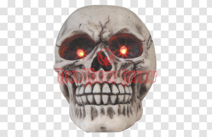 Skull 0 Head Figurine - Bone Transparent PNG