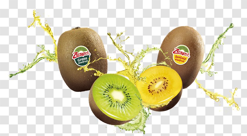 Kiwifruit Sangria Food Vegetable - Green Transparent PNG