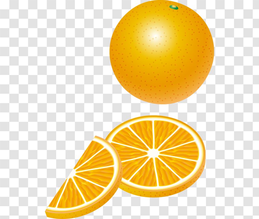 Lemon Orange Auglis - Plant - Vector Material Transparent PNG