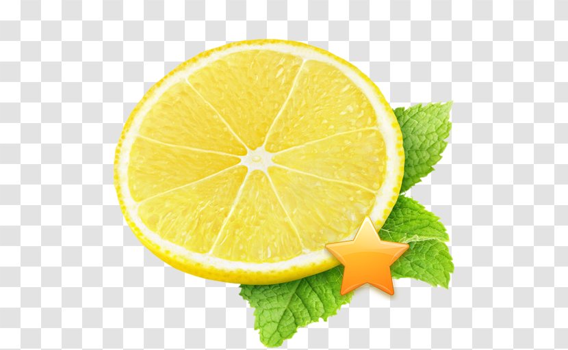 Lemon-lime Drink Slicing - Rangpur - Lemon Slice Transparent PNG