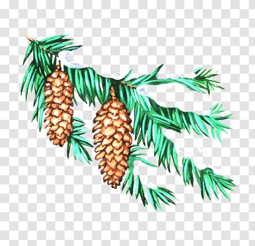 Embroidery New Year Tree Cross-stitch Christmas Clip Art - Conifer - Creative Pine Nuts Transparent PNG