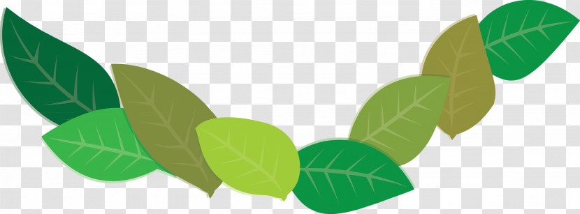 Leaf Plant Stem Green Meter Plants Transparent PNG