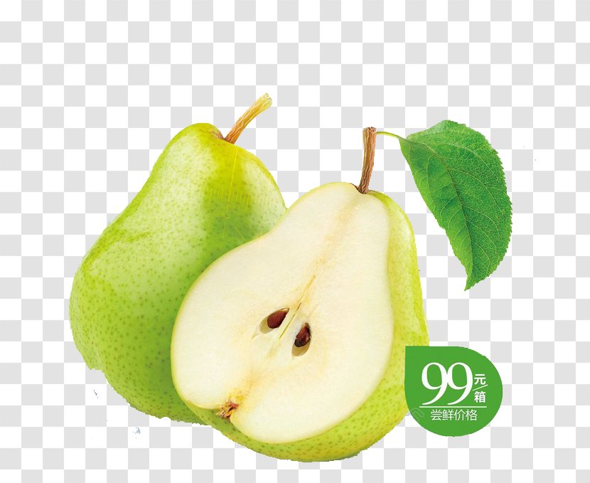 Chokeberry Pear Fruit DAnjou - Flavor - Green Transparent PNG