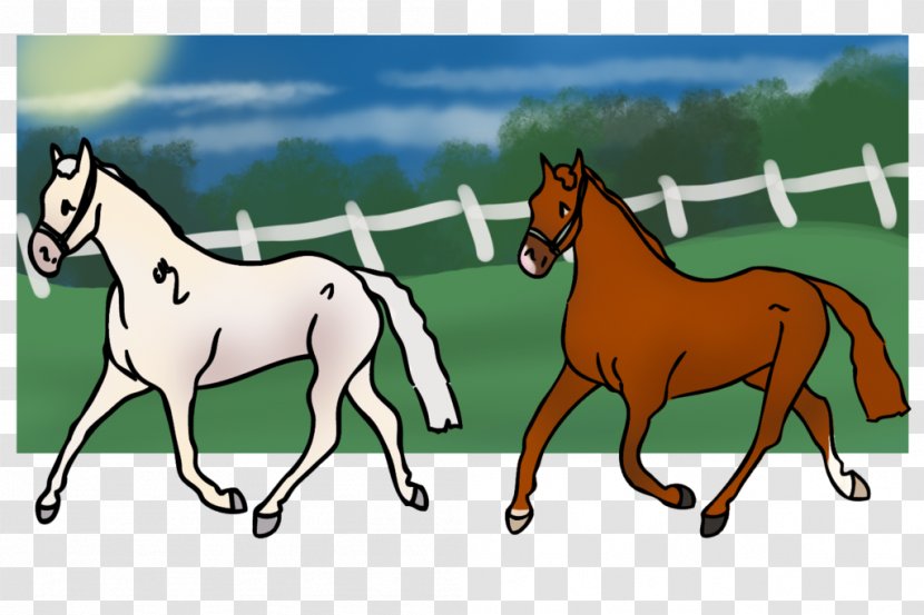 Mustang Foal Stallion Mare Colt - Pack Animal Transparent PNG