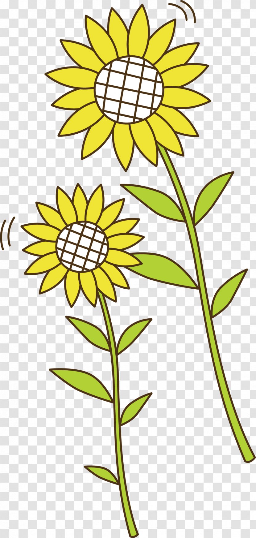 Common Sunflower Euclidean Vector Clip Art - Yellow - Element Transparent PNG