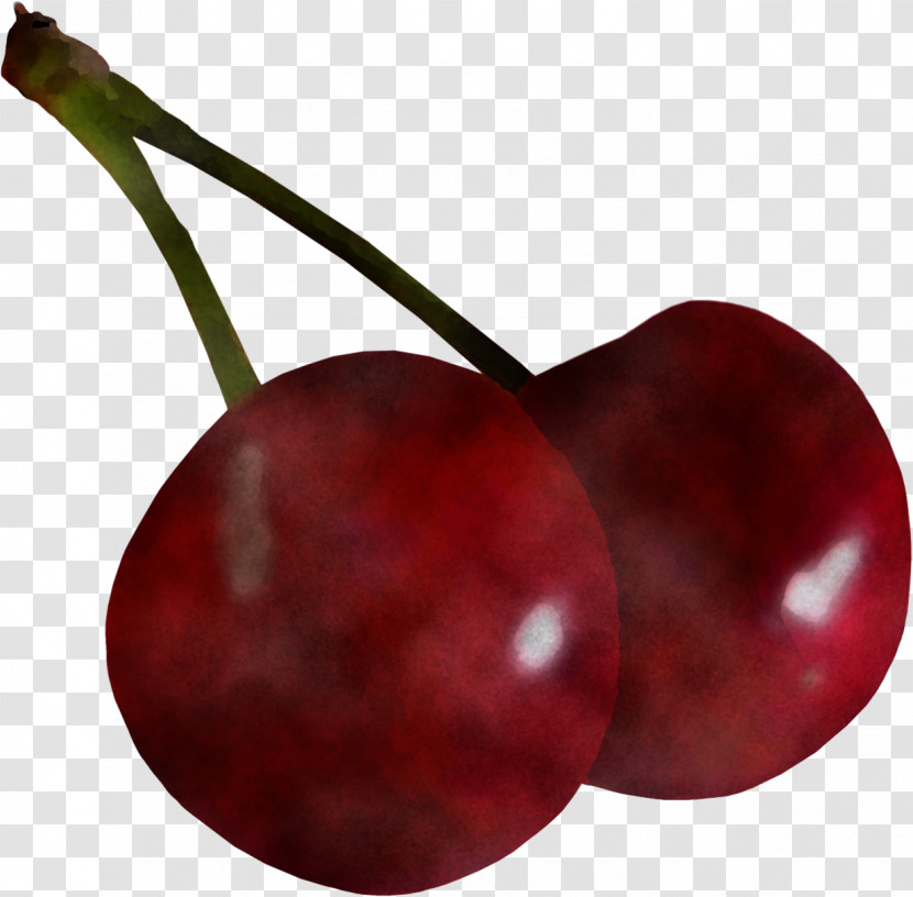 Cherry European Plum Fruit Red Plant Transparent PNG