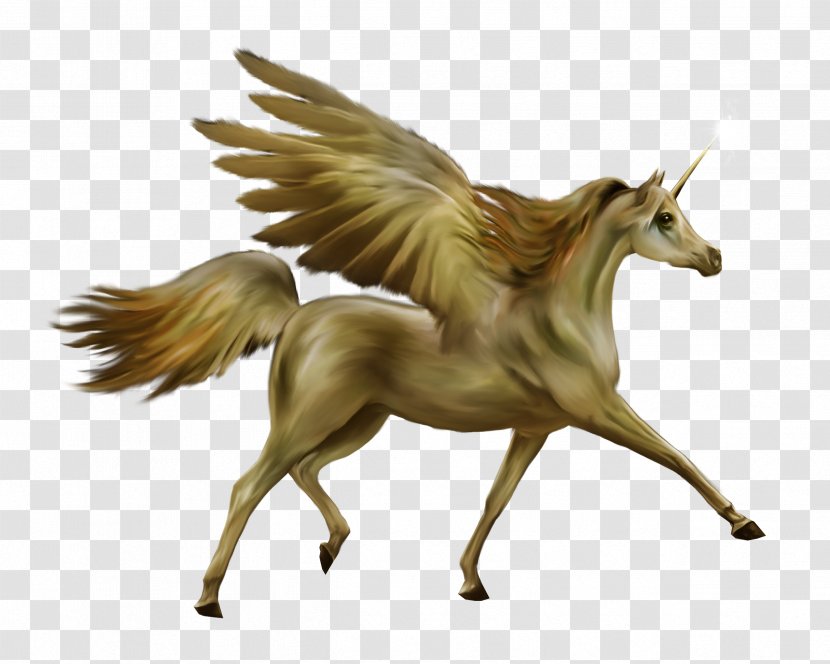 Horse Unicorn Wing - Fictional Character Transparent PNG