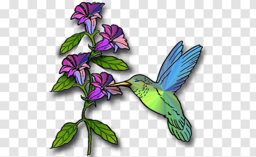 Hummingbird Free Content Clip Art - Flora - Cliparts Transparent PNG