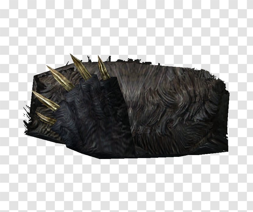 Fur Cave Bear The Elder Scrolls V: Skyrim Feather Transparent PNG