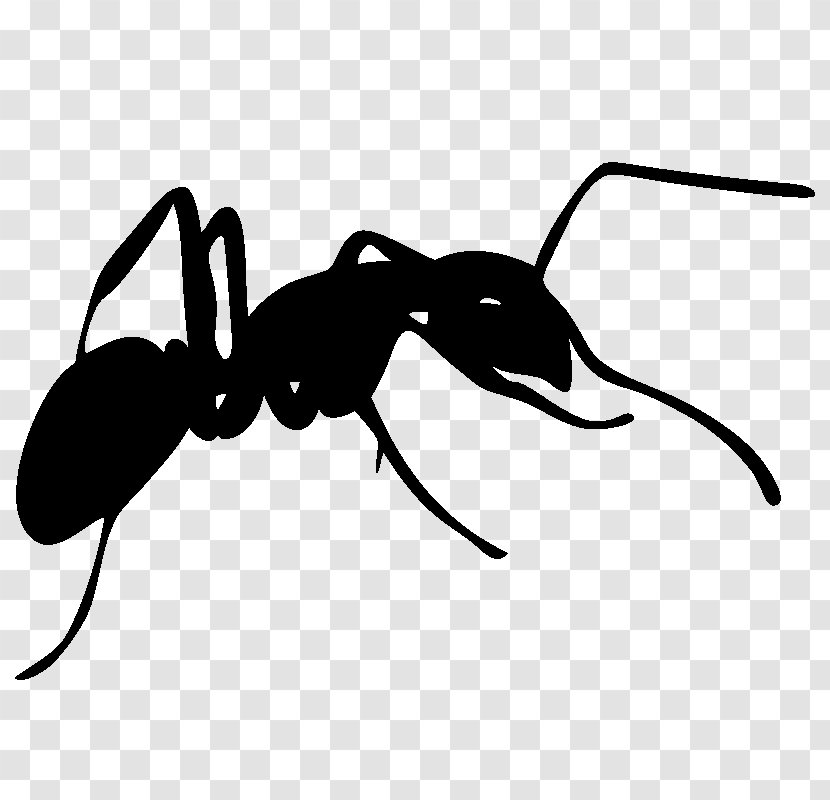 Ant Silhouette Photography Clip Art - Membrane Winged Insect Transparent PNG