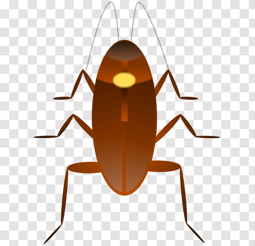 Dr. Cockroach Clip Art - Insect Transparent PNG