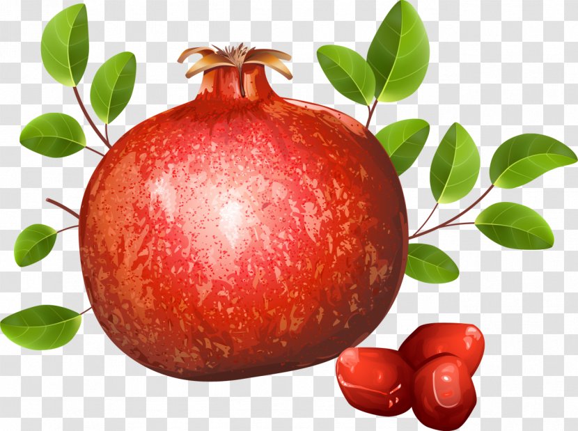 Pomegranate Royalty-free Clip Art - Local Food Transparent PNG