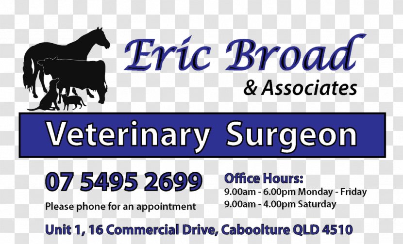 Bull Terrier Veterinary Surgery Veterinarian Eric Broad & Associates Surgeon - Banner - Paralysis Transparent PNG