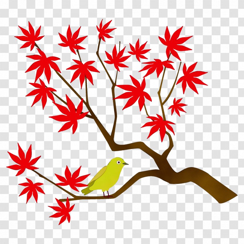 Leaf Plant Tree Flower - Watercolor Transparent PNG