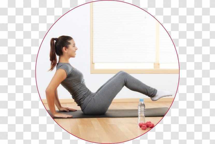 Exercise Sports Weight Training Health - Tree - Fitness Program Transparent PNG