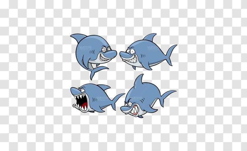 Shark Cartoon Illustration - Cat - Blue Dolphin Transparent PNG