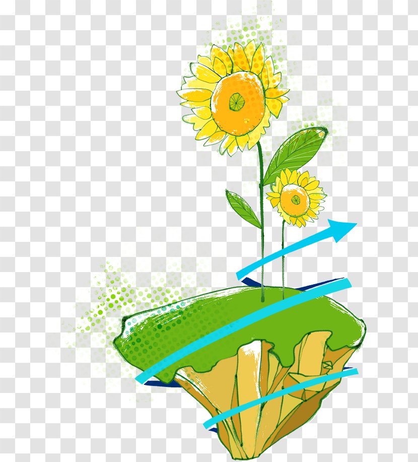 Watercolour Flowers Common Sunflower Painting - Flower Arranging - Hand-painted Transparent PNG