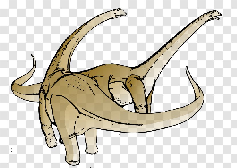 Alamosaurus Blog Free Content Clip Art - Stockxchng - Extinct Cliparts Transparent PNG