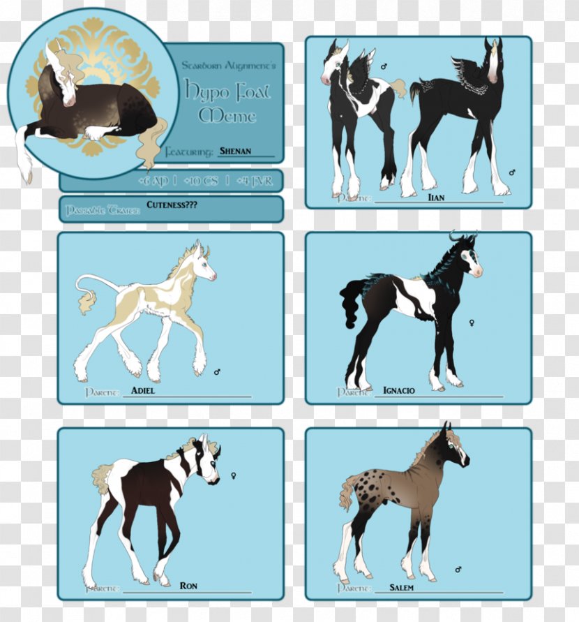Dog Breed Mustang Stallion Pony Transparent PNG