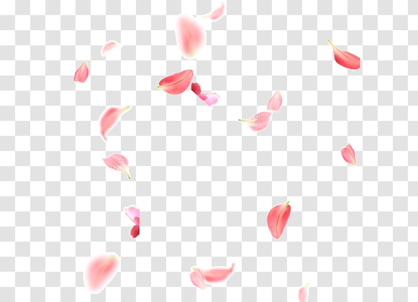 Petal Pink Flower - Leaf - Cdr Transparent PNG