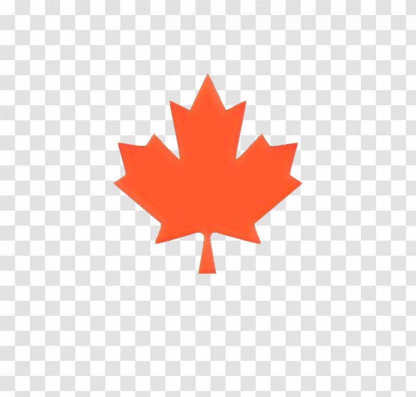 Horwath Consultants Flag Of Canada Stock Photography Vector Graphics - Woody Plant - National Transparent PNG