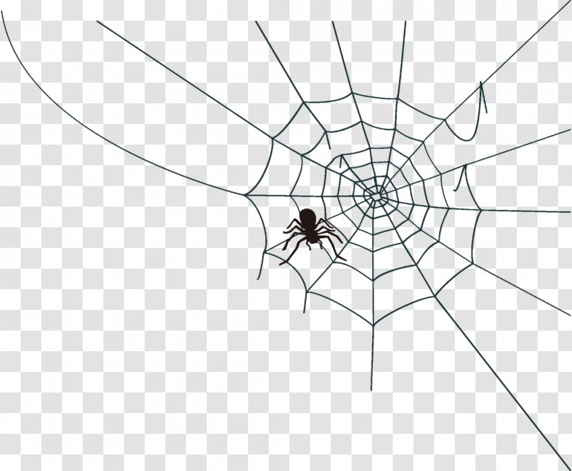 Spider Web Halloween - Blackandwhite - Harvestmen Transparent PNG