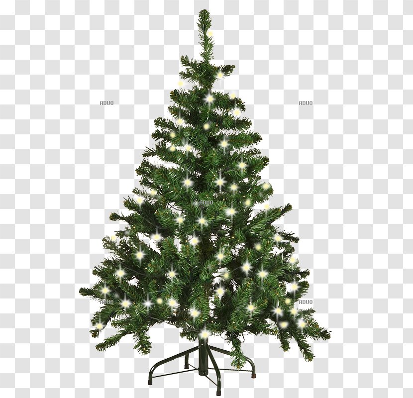 Christmas Tree Spruce Ornament Fir Pine - Gran Transparent PNG