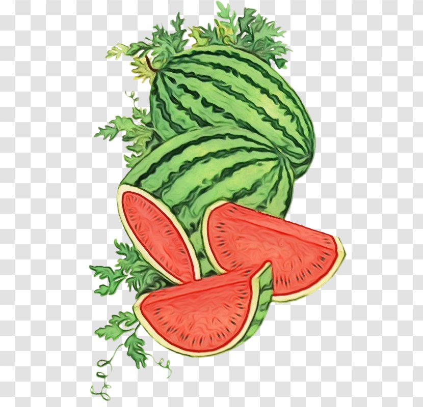 Watermelon Cartoon - Greens - Vegetarian Food Natural Foods Transparent PNG
