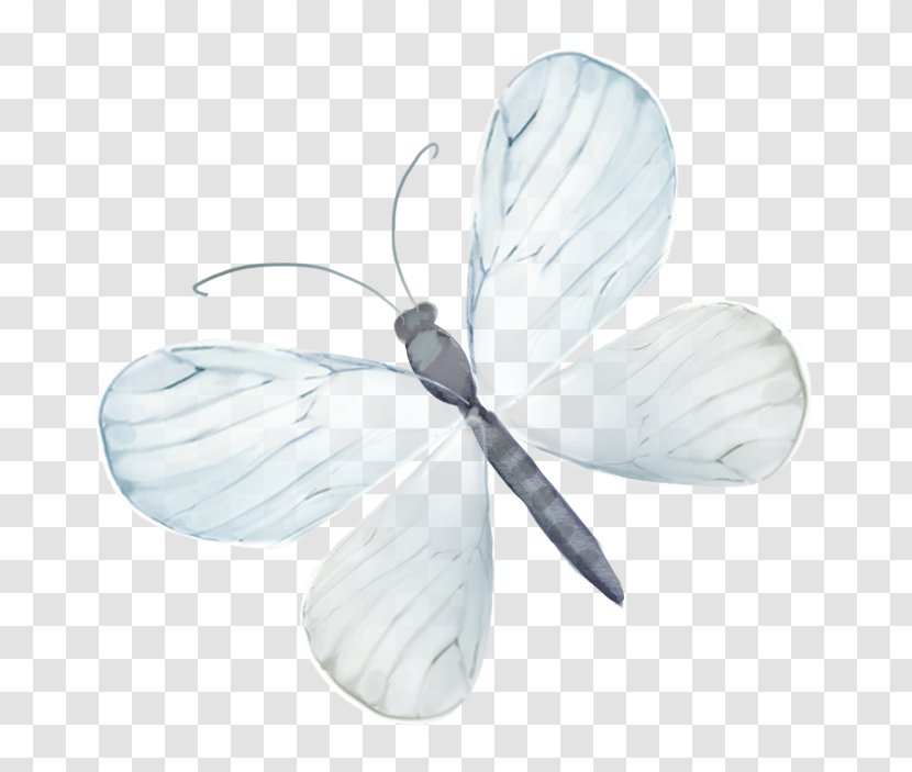 Butterfly Drawing - Painting Transparent PNG