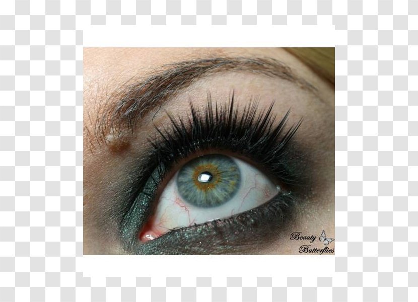 Eyelash Extensions Eye Shadow Cosmetics Liner - Watercolor - Lashes Transparent PNG