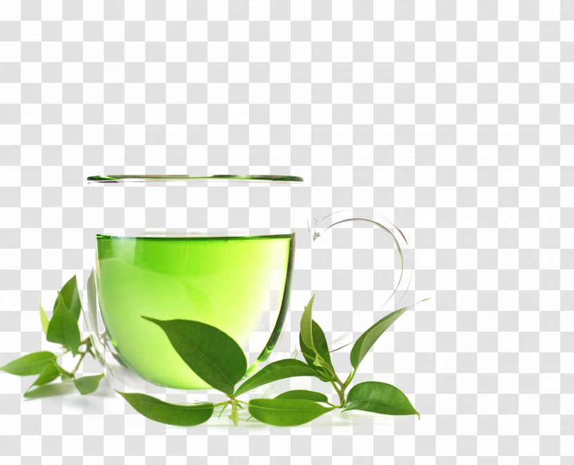 Green Tea Organic Food White Oolong - Cups And Leaves On Wood Transparent PNG