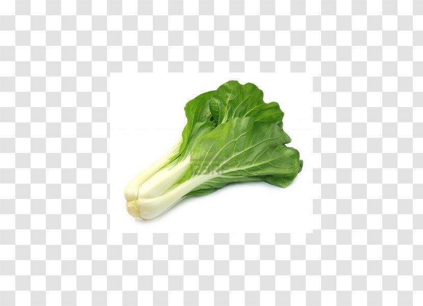 Organic Food Chinese Cabbage Vegetable Bok Choy Transparent PNG
