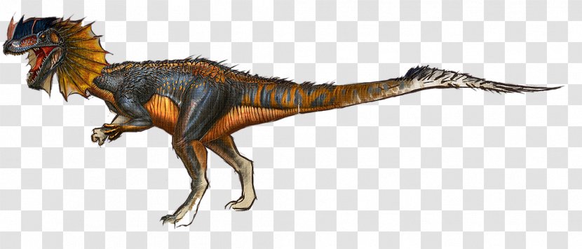 Tyrannosaurus Dilophosaurus ARK: Survival Evolved Giganotosaurus Velociraptor - Dinosaur - Frilled-neck Lizard Transparent PNG