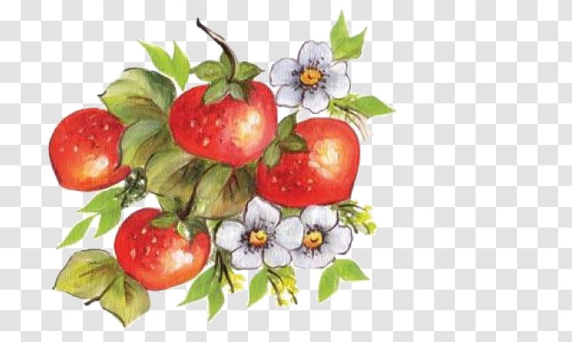 Strawberry Aedmaasikas - Diet Food - Hand-painted Transparent PNG