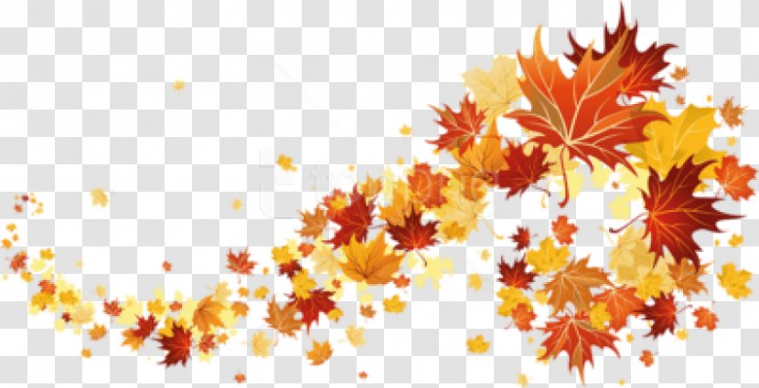 Autumn Clip Art Image Desktop Wallpaper - Tree - Reeser Free Download Transparent PNG